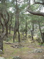 Türkei;Koepruelue;Kanyon;Köprülü